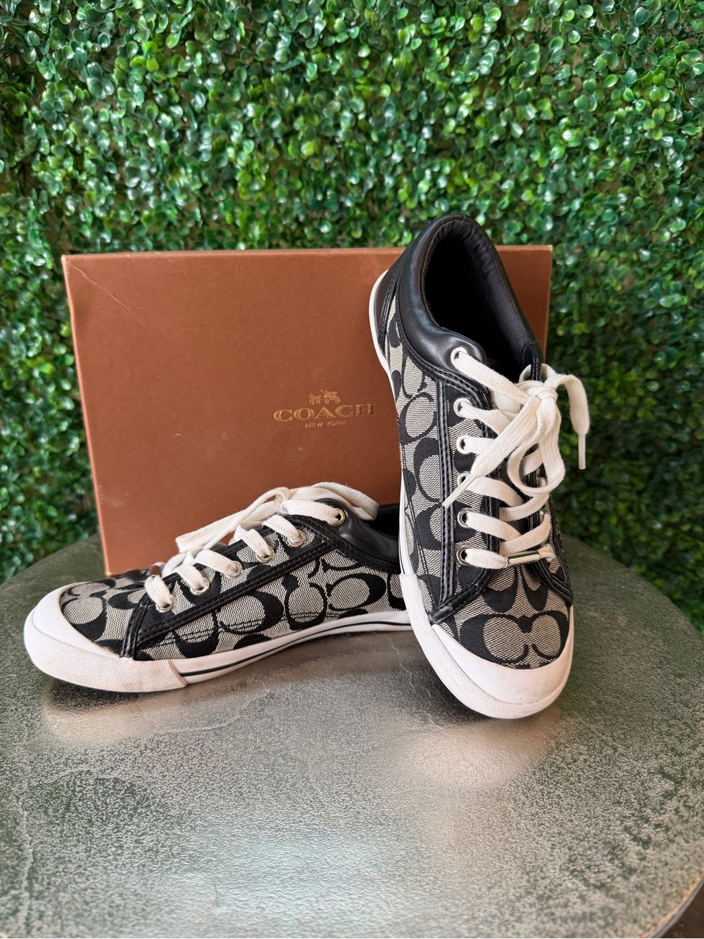 Coach Signature Francesca Canvas Sneakers in Black and White